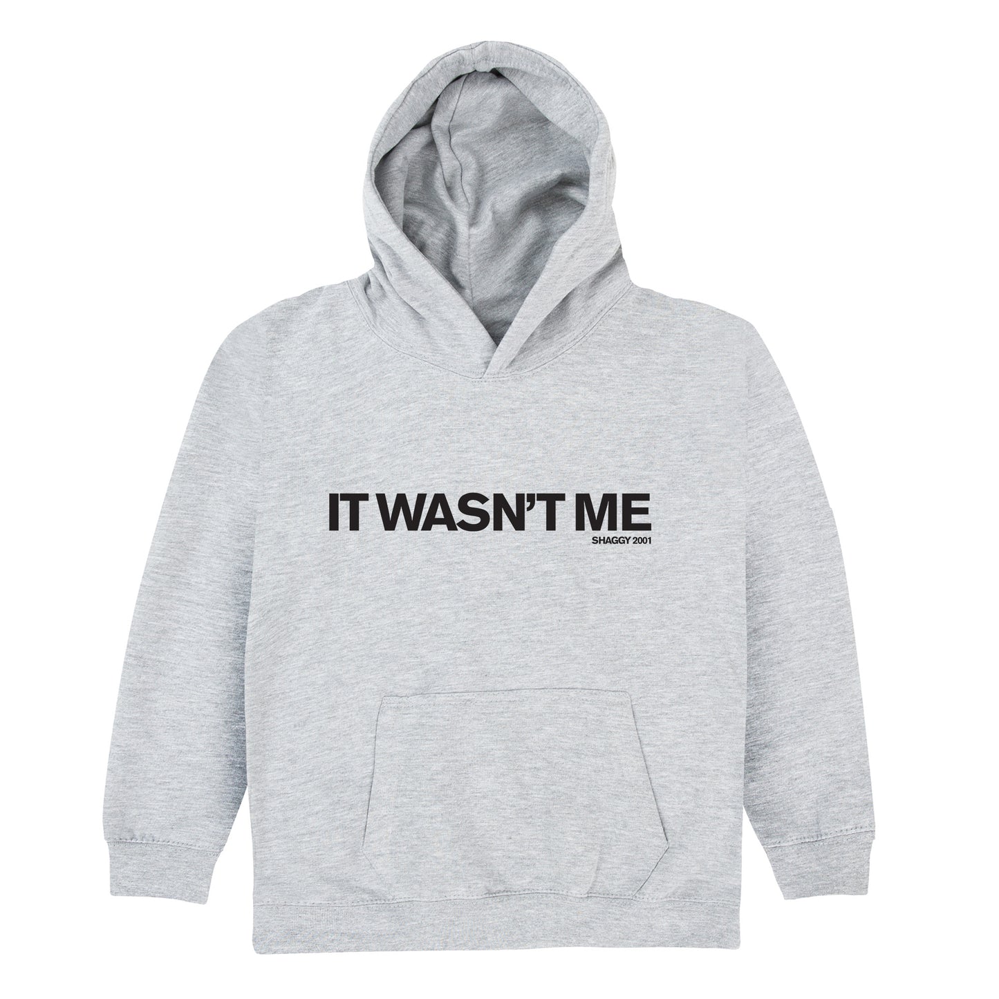Wasn't Me Kids Hoodie
