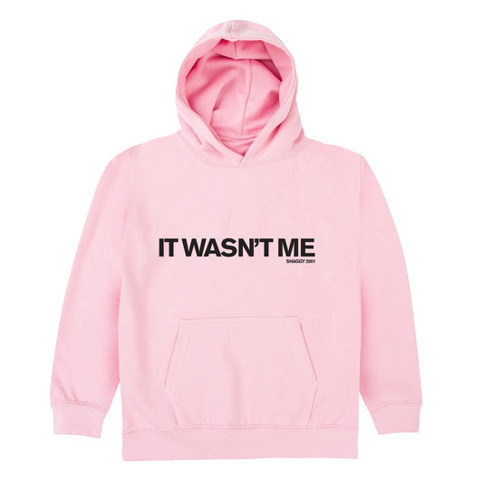 Wasn't Me Kids Hoodie