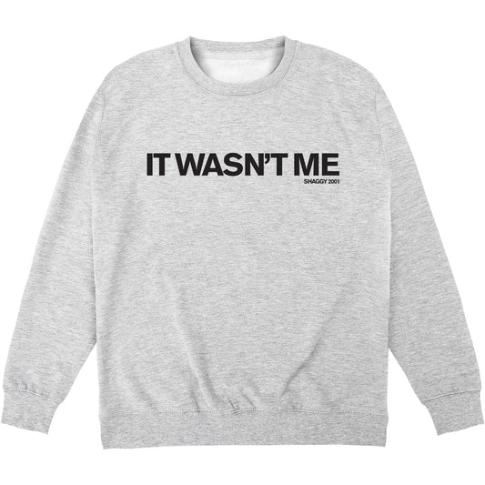 Wasn't Me Kids Sweatshirt